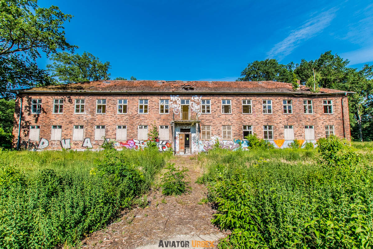 IMGP3115