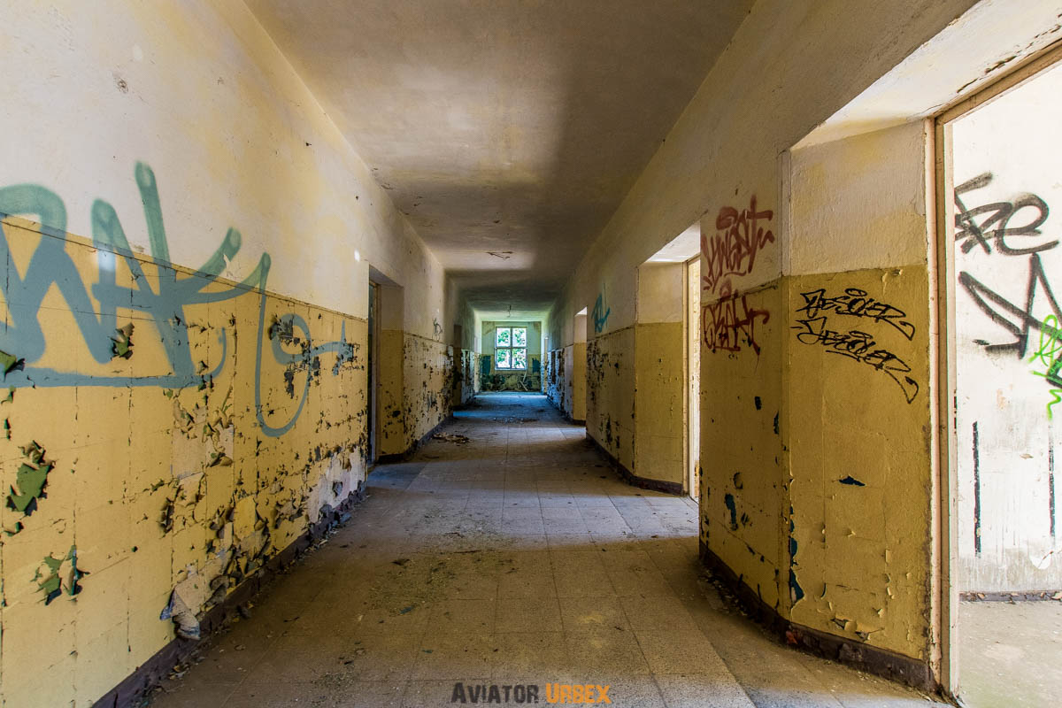 IMGP3117