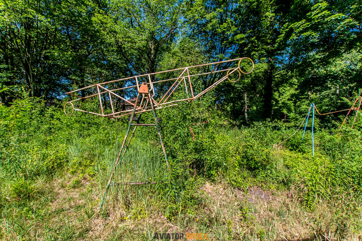 IMGP3204