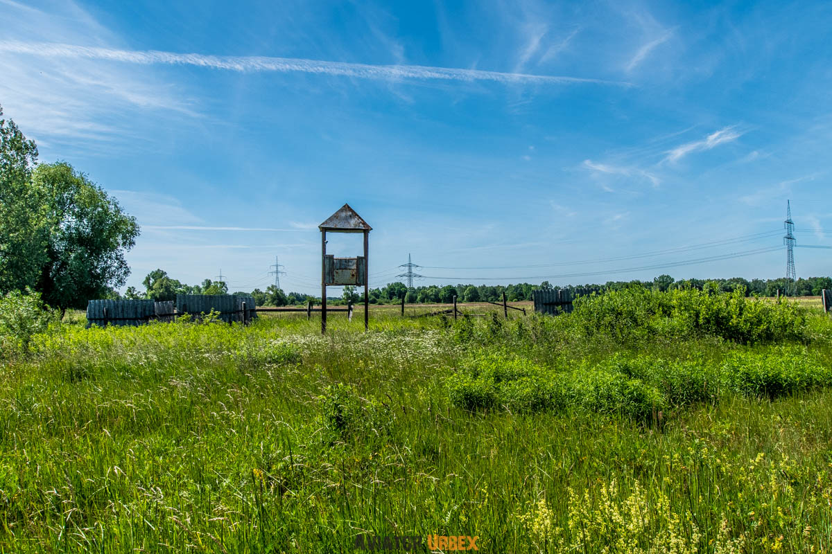 IMGP3238