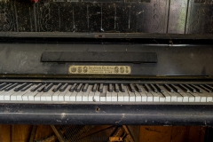IMGP5906