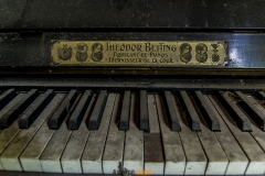 IMGP5939