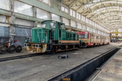 IMGP8135
