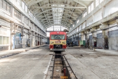 IMGP8139