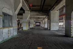 IMGP0784