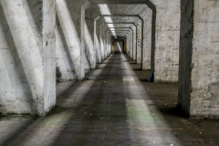 IMGP0795