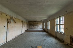 IMGP2216