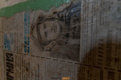 IMGP4696