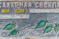 IMGP0716