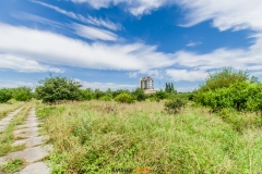 IMGP1548
