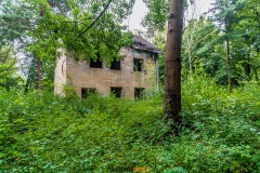 IMGP3906