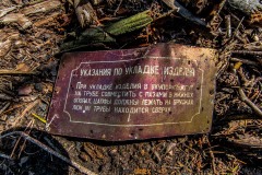 IMGP1906