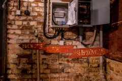 IMGP4510