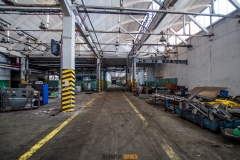 IMGP4147